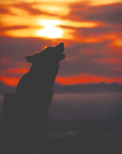 https://canismajor-rpg.com/uploads/avatars/avatar_3021.jpg?dateline=1758304772